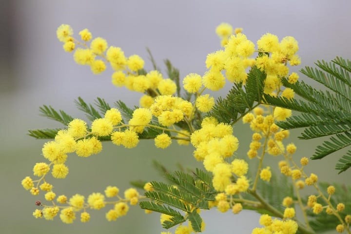 La donna deve essere festeggiata e rispettata sempre e non solo l’8 marzo